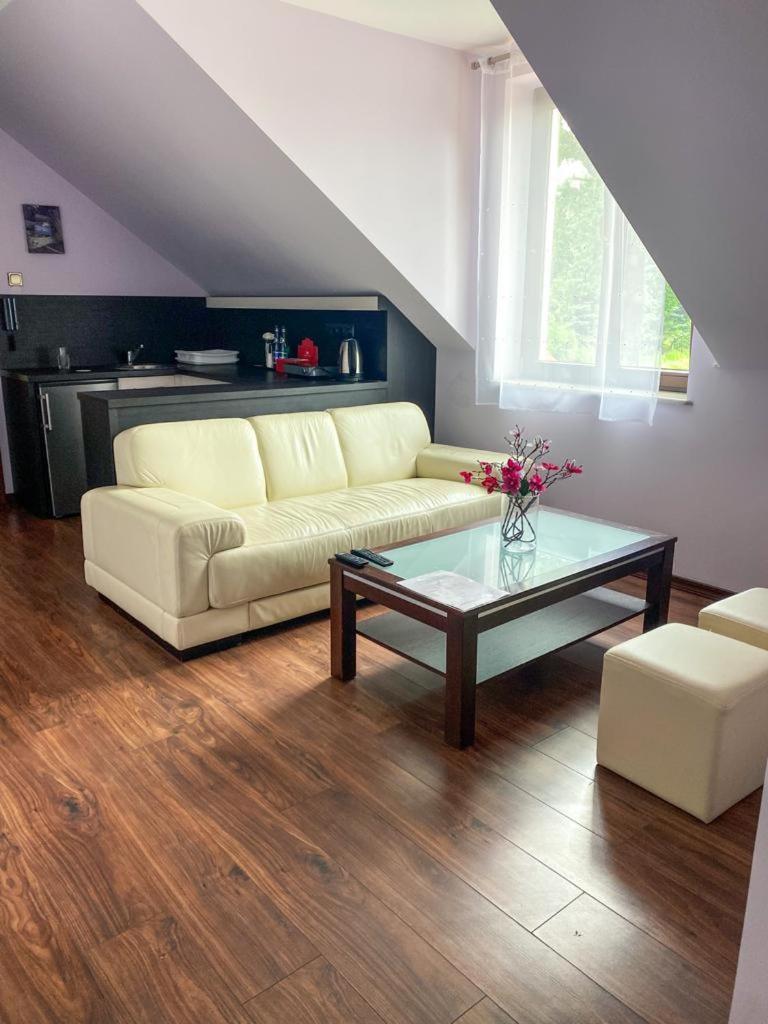 Dom Nad Jeziorem Sajzy Habitación foto